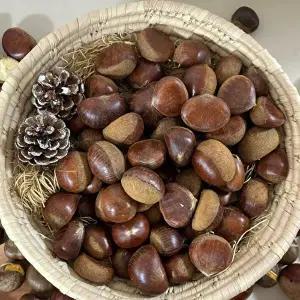 [딜픽]자연농장 공주밤(중) 1kg 무칼집