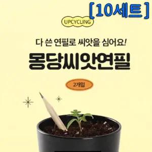몽당 씨앗연필 (2개입) - 10세트/씨앗키우기,열매키우기