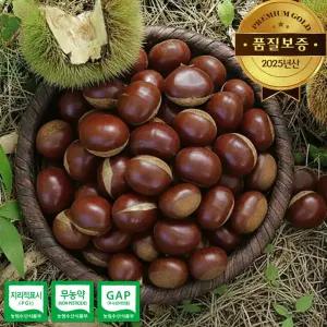 [품질보증] 25년산 햇 공주 부여밤 대자 2kg