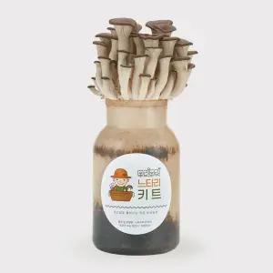 무럭무럭 느타리버섯 키우기 키트 1입 집에서 느타리버섯 키우기