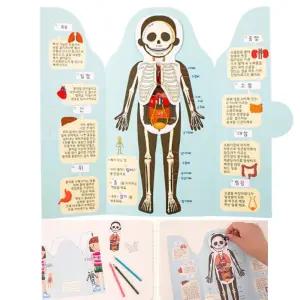 5인세트 인체탐험 팝업북만들기 초등 미술키트 어린이 북아트재료