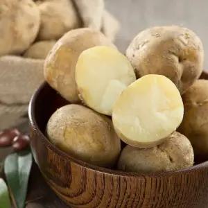 국내산 강원도 제철 수미감자 대 5kg