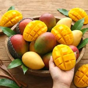 달콤함 가득 열대과일 프리미엄 애플망고 2kg (4-5입)