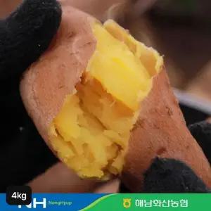 [해남고구마]화산농협 해남 햇 호박고구마 4kg(특상)[35608953]