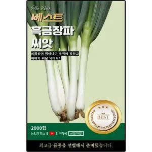 베스트 흑금장 대파 씨앗 2000립 추위에 강하고 재배가 쉬운 대파씨 종자
