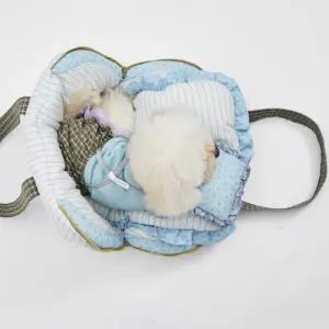 [롯데백화점]루이독 파자마 어라운드 백/스트라이프 Petit