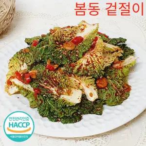 [전라도의 맛] 제철 봄동 겉절이 2kg 아삭 달큰한 별미김치(특제 비법 양념)