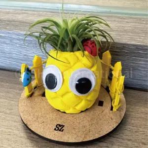 4인용 클레이 이오난사 파인애플 화분만들기 식물키우기 과학시간 신나는