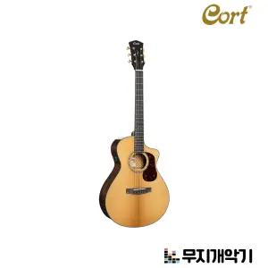 콜트 모던콘서트바디 올솔리드 픽업 Guitar Gold-MC6 Ovangkol