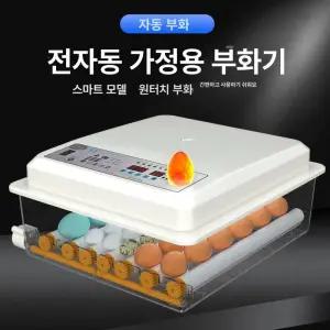 병아리부화기 조류 달걀 계란부화기 부화기
