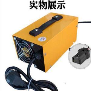 지게차 충전기 48V 24V 지게차충전기 25A 자동 40A 골프카트 산업용