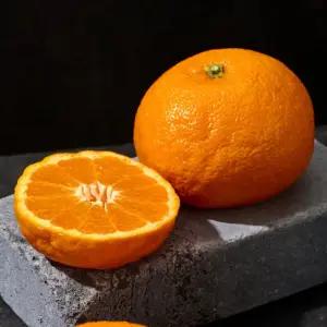 갓수확 제주 토종감귤 봄한정 설국향 2kg 중소과(개당80~200g내외)