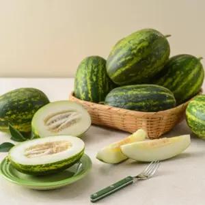 고령 가정용 파파야메론 개구리 참외 5kg(혼합과) 못난이 성산메론