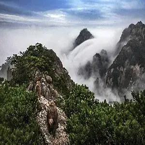 황산 4일 #산위호텔숙박[4성] #태평-운곡코스 #서해대협곡 #일몰-일출감상 #옛거리