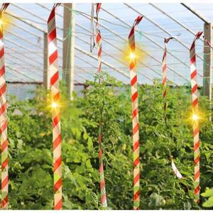 새퇴치 반사 테이프 과일나무 비둘기 스트립 양면 리본 과수원용