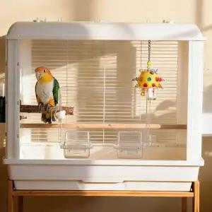 앵무새 아크릴 새장 소형 미니 새집 메추리 투명