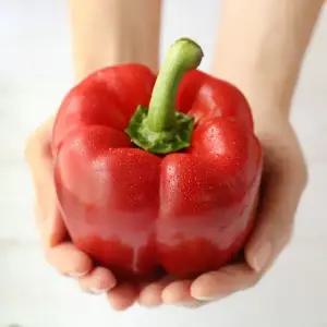 익산 산지 싱싱 아삭한 국내산 파프리카 못난이 2kg(갯수랜덤)