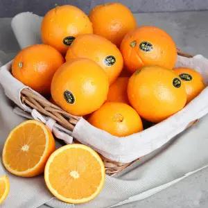 [MPARK] 블랙라벨 고당도 오렌지 12kg (27∼40과/ 과당 300∼400g)
