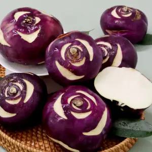 다니 스테비아 콜라비 2kg/3kg