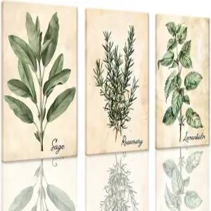 XLARTMY 주방 벽 아트 식물 캔버스 액자 세이지 그린 허브 로즈마리 그림 농가 홈 데코를 위한 레몬밤