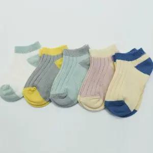 골지 발목양말 5족 아기 여름양말 초등학생 데일리