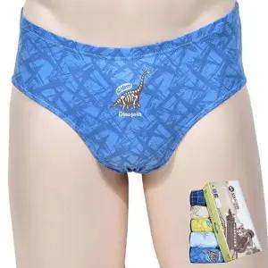 흡수성좋은 순면 공룡 남아동 삼각팬티5매