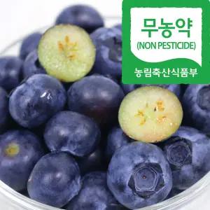 호태아빠 맛보장 국산 무농약 블루베리 생과 100g (특) 4팩