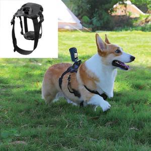 SJCAM 반려동물 하네스 마운트 또는 헤드 스트랩 가슴 C300 액션 캠