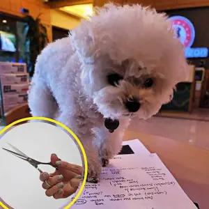 일자가위 앞머리가위 이발 스테인리스 커트 미용