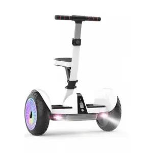 두발전동휠 투휠 호버보드 전동휠 대리기사 이륜 54V Pro