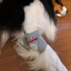 대형견 밴드 보호 반려견 무릎 슬리브 슬개골 패드 보호대 관절 양말 팔꿈치