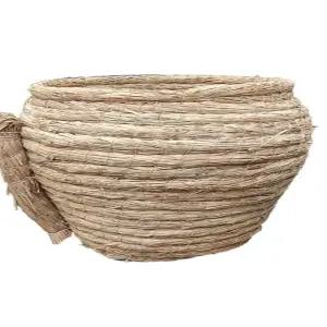 닭 둥지 알 산란통 낳는집 산란장 밀짚 부화장 계란 사육장