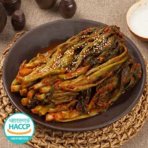 정성가득 손맛 국내산 여수 갓김치 5kg