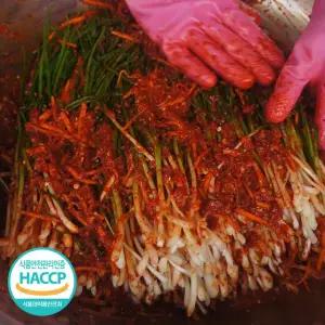 정성가득 손맛 국내산 전라도 파김치 5kg