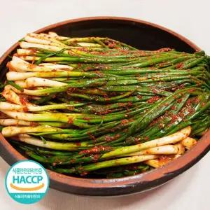 정성가득 손맛 국내산 전라도 파김치 3kg