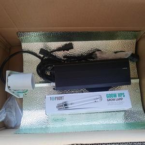 램프 키트 EU 플러그 600w 발라스트