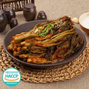 [NS홈쇼핑]정성가득 손맛 국내산 여수 갓김치 3kg[35378013]