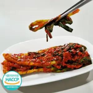 정성가득 손맛 국내산 전라도 파김치 1kg