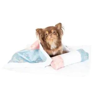 강아지하우스 강아지 별당아씨 이불 반려견 침대 하우스 세트 1P