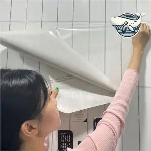 [콩심팥심]다용도 오염방지 투명시트지 60cm 클리어