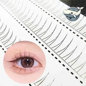 [콩심팥심]자연스러운 속눈썹 연출 언더래쉬 가닥 속눈썹