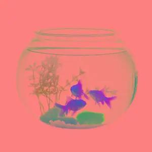 아크릴 둥근 항아리 구피 키우기 미니 수조 원형 가정용