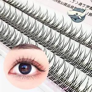 자연스러운 뷰티 속눈썹 가닥형 부분래쉬 데일리