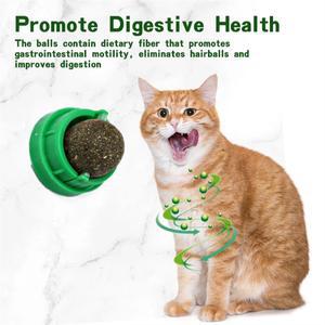 자연 Catnip 공 Lickable 고양이 잔디 스낵 새끼 Scratchers 장난감은 작은 중형 애완 동물 신선한 호흡을