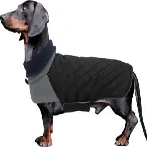 게이세테 닥스훈트 코트 겨울 따뜻한 방수 방풍 하이 네크라인 스트링 홀 미니어처 작은 개블랙XL용 재킷