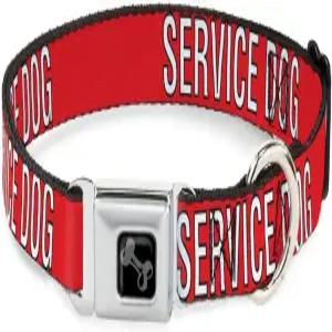버클 다운 펫 칼라 도그 메탈 안전벨트 서비스 텍스트 레드 블랙 화이트 9.5~13인치 1.0인치 와이드