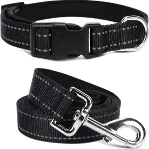 소형 중형 대형견을 위한 부드러운 네오프렌 패딩 도그 칼라 및 목줄 세트 걷기 쉬운 5피트 있는 반사