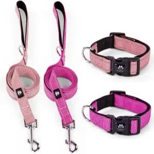 비앤레인 2팩 반사형 반려견 목걸이 및 목줄 세트 강아지용 조절 가능한 네오프렌 패딩 소형 중형견용