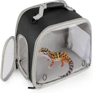 스크래치 방지 수염 드래곤 백팩 접이식 게코 캐리어 통풍 여행 가방 클리어 뷰 윈도우 듀얼 캐리 케이지