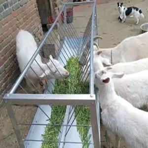염소먹이통 양 목장 염소 배식 급여기 여물통 먹이 새끼